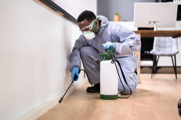 Best Fumigation Services  in Linden, AL